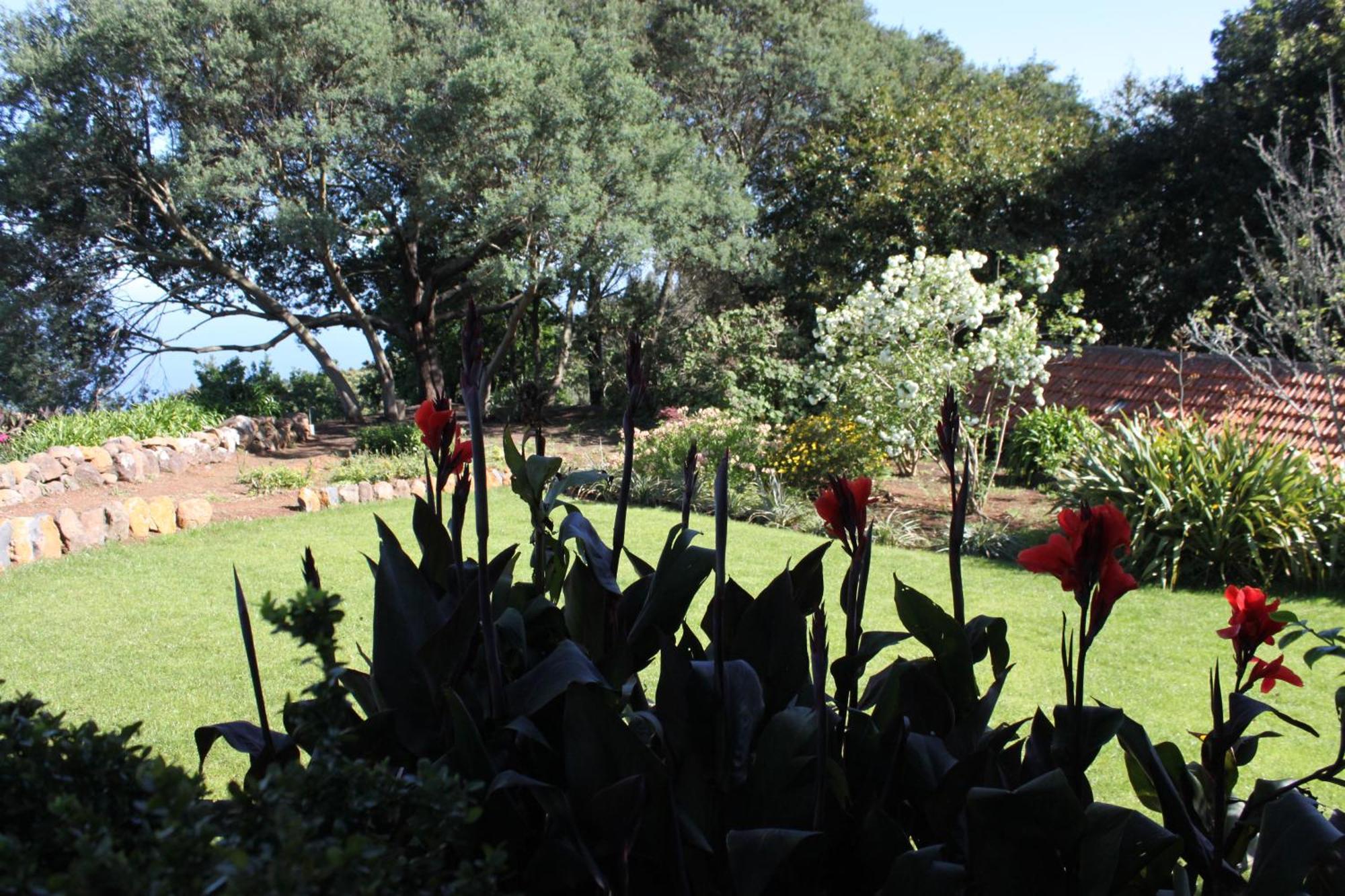 Quinta Das Faias Camacha  Room photo