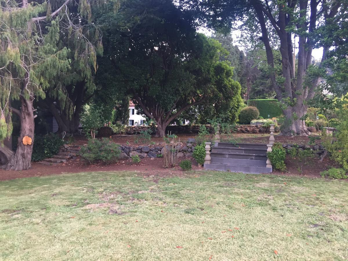 Quinta Das Faias Camacha  Exterior photo